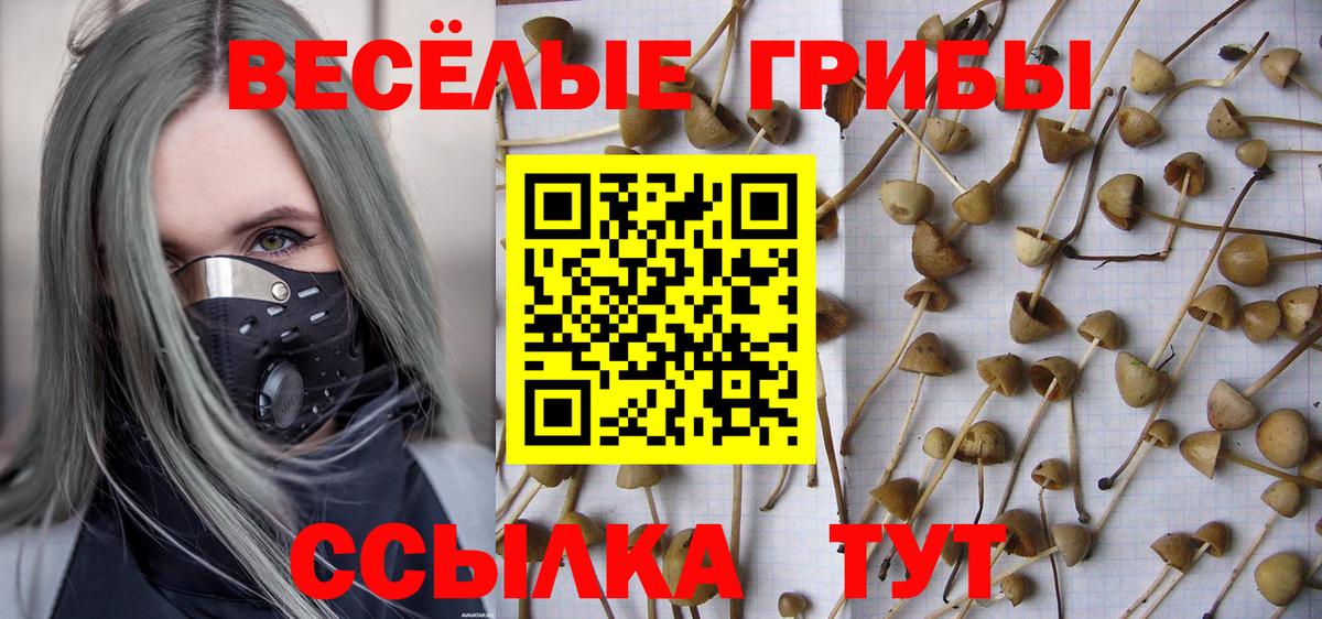 Лесосибирск  Галлюциногенные грибы GOLDEN TEACHER  Вход с VPN  Галлюциногенные грибы мухоморы 